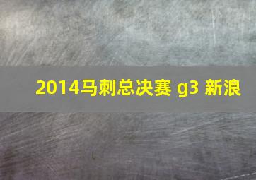 2014马刺总决赛 g3 新浪